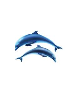 Décoration piscine 2 Dauphins 130 x 85cm fond de piscine, Liners & PVC armé pour piscine